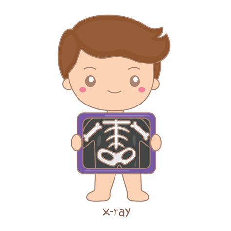 x ray clip art